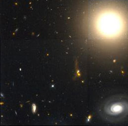 The Coma Galaxy Cluster