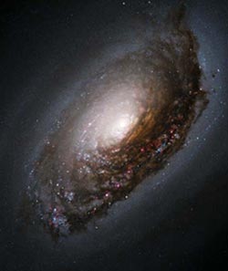 M64