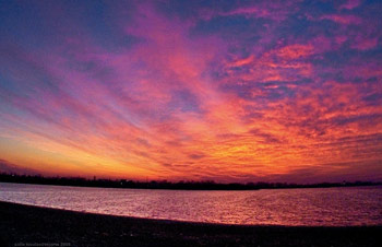 Photo by Calin Niculae