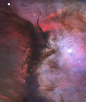 A portion of M42
