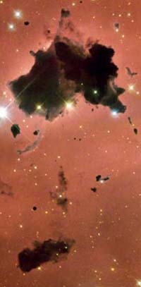 Thackeray's Globules in IC 2944