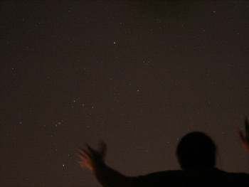 Orion and Taurus