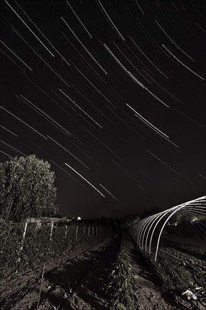 stars over bolsena