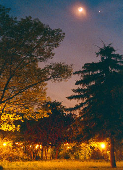 Photograph by Calin Niculae