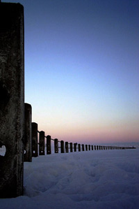 Photograph by Dan Mitrut