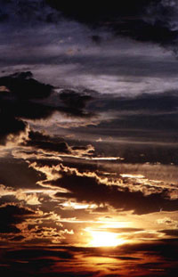Photograph by Dan Mitrut