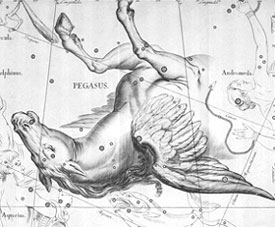 Pegasus