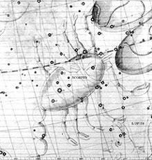 Scorpius, the Scorpion