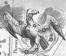 Phoenix