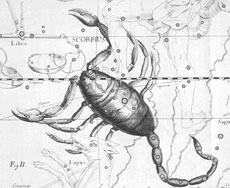 Scorpius, the Scorpion